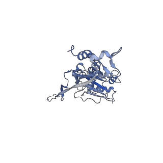 17672_8phr_C_v1-2
Middle part of the Borrelia bacteriophage BB1 procapsid, tenfold-symmetrized outer shell
