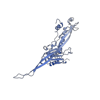 17672_8phr_L_v1-2
Middle part of the Borrelia bacteriophage BB1 procapsid, tenfold-symmetrized outer shell
