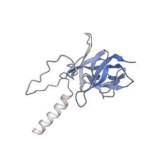 17672_8phr_M_v1-2
Middle part of the Borrelia bacteriophage BB1 procapsid, tenfold-symmetrized outer shell
