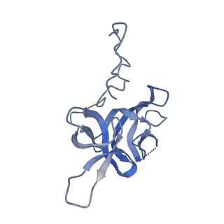 17672_8phr_N_v1-2
Middle part of the Borrelia bacteriophage BB1 procapsid, tenfold-symmetrized outer shell