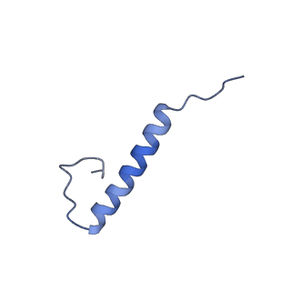 17672_8phr_P_v1-2
Middle part of the Borrelia bacteriophage BB1 procapsid, tenfold-symmetrized outer shell
