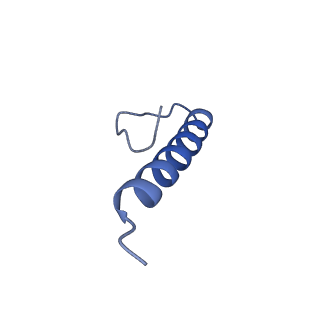 17672_8phr_Q_v1-2
Middle part of the Borrelia bacteriophage BB1 procapsid, tenfold-symmetrized outer shell