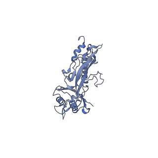 17672_8phr_S_v1-2
Middle part of the Borrelia bacteriophage BB1 procapsid, tenfold-symmetrized outer shell