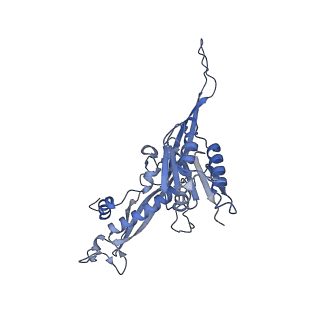 17672_8phr_T_v1-2
Middle part of the Borrelia bacteriophage BB1 procapsid, tenfold-symmetrized outer shell