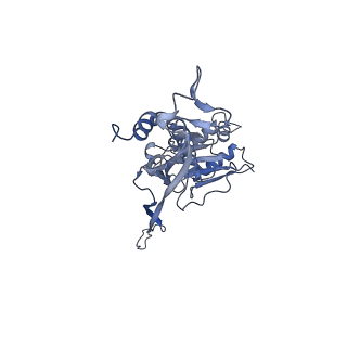 17672_8phr_U_v1-2
Middle part of the Borrelia bacteriophage BB1 procapsid, tenfold-symmetrized outer shell
