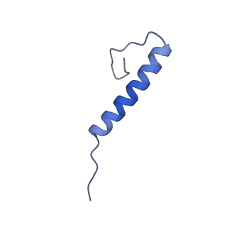 17672_8phr_Y_v1-2
Middle part of the Borrelia bacteriophage BB1 procapsid, tenfold-symmetrized outer shell