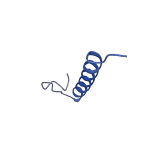 17672_8phr_Z_v1-2
Middle part of the Borrelia bacteriophage BB1 procapsid, tenfold-symmetrized outer shell