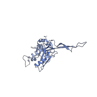 17672_8phr_c_v1-2
Middle part of the Borrelia bacteriophage BB1 procapsid, tenfold-symmetrized outer shell