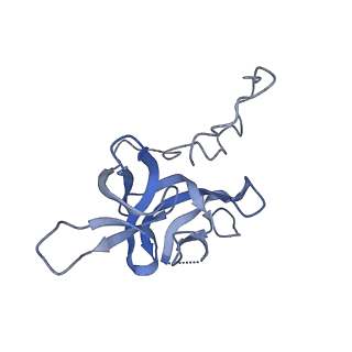 17672_8phr_f_v1-2
Middle part of the Borrelia bacteriophage BB1 procapsid, tenfold-symmetrized outer shell