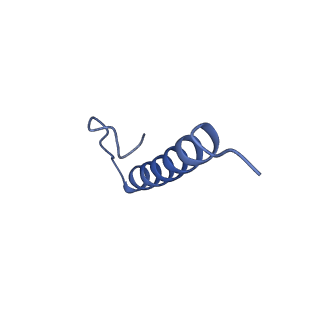 17672_8phr_l_v1-2
Middle part of the Borrelia bacteriophage BB1 procapsid, tenfold-symmetrized outer shell