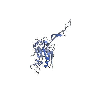 17672_8phr_o_v1-2
Middle part of the Borrelia bacteriophage BB1 procapsid, tenfold-symmetrized outer shell