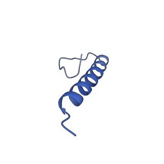 17672_8phr_p_v1-2
Middle part of the Borrelia bacteriophage BB1 procapsid, tenfold-symmetrized outer shell