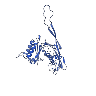 17673_8phs_AL_v1-2
Bottom cap of the Borrelia bacteriophage BB1 procapsid, fivefold-symmetrized outer shell