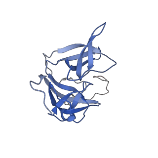 17673_8phs_AM_v1-2
Bottom cap of the Borrelia bacteriophage BB1 procapsid, fivefold-symmetrized outer shell