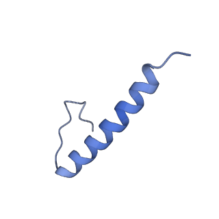 17673_8phs_AQ_v1-2
Bottom cap of the Borrelia bacteriophage BB1 procapsid, fivefold-symmetrized outer shell