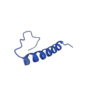 17673_8phs_AZ_v1-2
Bottom cap of the Borrelia bacteriophage BB1 procapsid, fivefold-symmetrized outer shell