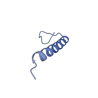 17673_8phs_BH_v1-2
Bottom cap of the Borrelia bacteriophage BB1 procapsid, fivefold-symmetrized outer shell