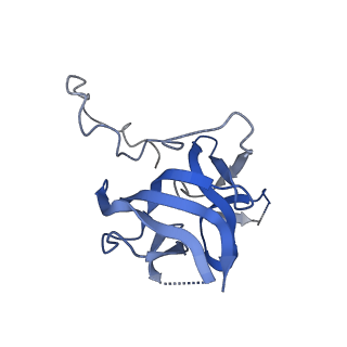 17673_8phs_BP_v1-2
Bottom cap of the Borrelia bacteriophage BB1 procapsid, fivefold-symmetrized outer shell