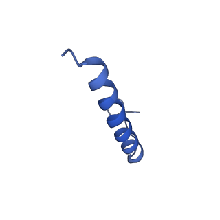 17673_8phs_CA_v1-2
Bottom cap of the Borrelia bacteriophage BB1 procapsid, fivefold-symmetrized outer shell