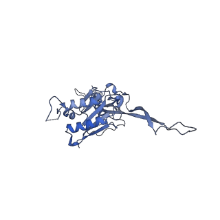 17673_8phs_CD_v1-2
Bottom cap of the Borrelia bacteriophage BB1 procapsid, fivefold-symmetrized outer shell