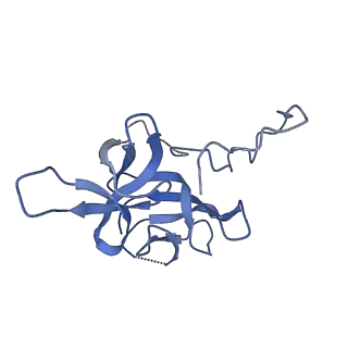 17673_8phs_CG_v1-2
Bottom cap of the Borrelia bacteriophage BB1 procapsid, fivefold-symmetrized outer shell