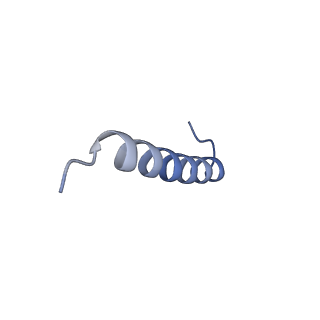 17673_8phs_CJ_v1-2
Bottom cap of the Borrelia bacteriophage BB1 procapsid, fivefold-symmetrized outer shell