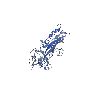 17673_8phs_CL_v1-2
Bottom cap of the Borrelia bacteriophage BB1 procapsid, fivefold-symmetrized outer shell