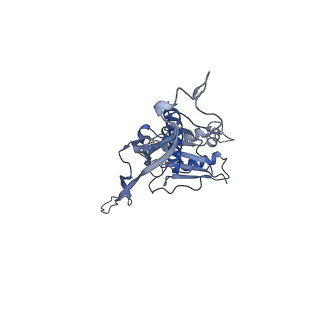 17673_8phs_CN_v1-2
Bottom cap of the Borrelia bacteriophage BB1 procapsid, fivefold-symmetrized outer shell