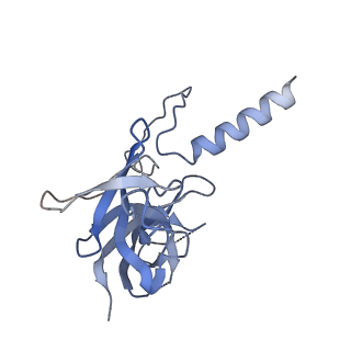 17673_8phs_CQ_v1-2
Bottom cap of the Borrelia bacteriophage BB1 procapsid, fivefold-symmetrized outer shell
