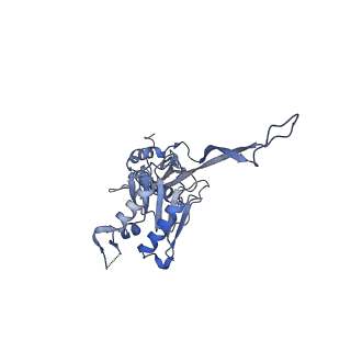 17673_8phs_CU_v1-2
Bottom cap of the Borrelia bacteriophage BB1 procapsid, fivefold-symmetrized outer shell
