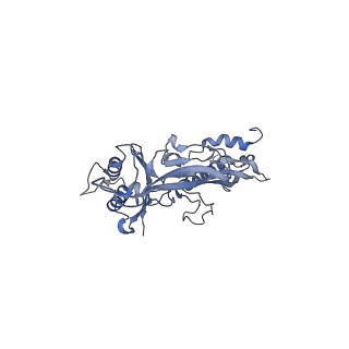 17673_8phs_CW_v1-2
Bottom cap of the Borrelia bacteriophage BB1 procapsid, fivefold-symmetrized outer shell