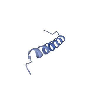 17673_8phs_CX_v1-2
Bottom cap of the Borrelia bacteriophage BB1 procapsid, fivefold-symmetrized outer shell