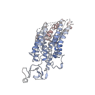 17677_8phw_A_v1-1
Human OATP1B1