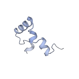 13435_7pib_0_v1-1
70S ribosome with EF-G, A/P- and P/E-site tRNAs in spectinomycin-treated Mycoplasma pneumoniae cells