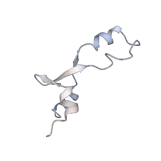 13435_7pib_1_v1-1
70S ribosome with EF-G, A/P- and P/E-site tRNAs in spectinomycin-treated Mycoplasma pneumoniae cells