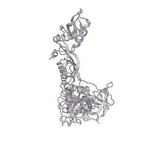 13435_7pib_9_v1-1
70S ribosome with EF-G, A/P- and P/E-site tRNAs in spectinomycin-treated Mycoplasma pneumoniae cells