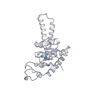 13435_7pib_A_v1-1
70S ribosome with EF-G, A/P- and P/E-site tRNAs in spectinomycin-treated Mycoplasma pneumoniae cells