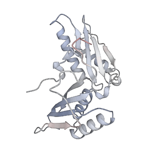 13435_7pib_B_v1-1
70S ribosome with EF-G, A/P- and P/E-site tRNAs in spectinomycin-treated Mycoplasma pneumoniae cells