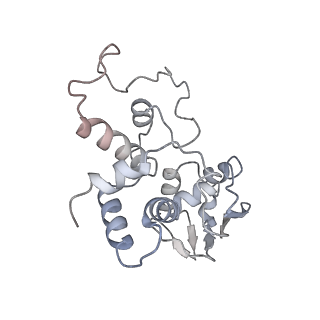 13435_7pib_C_v1-1
70S ribosome with EF-G, A/P- and P/E-site tRNAs in spectinomycin-treated Mycoplasma pneumoniae cells