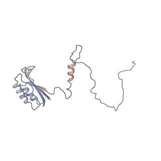 13435_7pib_E_v1-1
70S ribosome with EF-G, A/P- and P/E-site tRNAs in spectinomycin-treated Mycoplasma pneumoniae cells