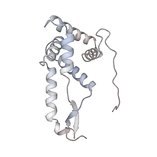 13435_7pib_F_v1-1
70S ribosome with EF-G, A/P- and P/E-site tRNAs in spectinomycin-treated Mycoplasma pneumoniae cells