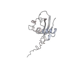 13435_7pib_H_v1-1
70S ribosome with EF-G, A/P- and P/E-site tRNAs in spectinomycin-treated Mycoplasma pneumoniae cells