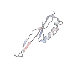 13435_7pib_I_v1-1
70S ribosome with EF-G, A/P- and P/E-site tRNAs in spectinomycin-treated Mycoplasma pneumoniae cells