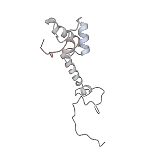 13435_7pib_L_v1-1
70S ribosome with EF-G, A/P- and P/E-site tRNAs in spectinomycin-treated Mycoplasma pneumoniae cells