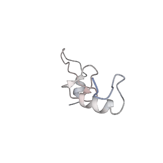 13435_7pib_M_v1-1
70S ribosome with EF-G, A/P- and P/E-site tRNAs in spectinomycin-treated Mycoplasma pneumoniae cells