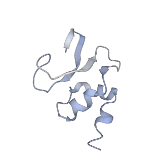 13435_7pib_O_v1-1
70S ribosome with EF-G, A/P- and P/E-site tRNAs in spectinomycin-treated Mycoplasma pneumoniae cells