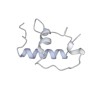 13435_7pib_Q_v1-1
70S ribosome with EF-G, A/P- and P/E-site tRNAs in spectinomycin-treated Mycoplasma pneumoniae cells