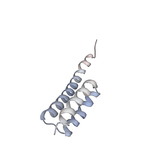 13435_7pib_S_v1-1
70S ribosome with EF-G, A/P- and P/E-site tRNAs in spectinomycin-treated Mycoplasma pneumoniae cells