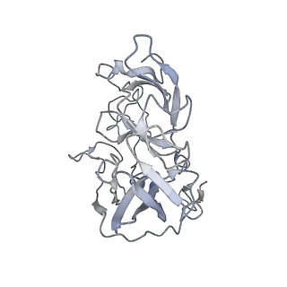 13435_7pib_a_v1-1
70S ribosome with EF-G, A/P- and P/E-site tRNAs in spectinomycin-treated Mycoplasma pneumoniae cells