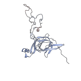 13435_7pib_b_v1-1
70S ribosome with EF-G, A/P- and P/E-site tRNAs in spectinomycin-treated Mycoplasma pneumoniae cells